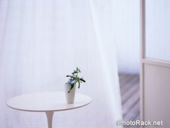 Free Stock Photo by PhotoRack.net 
 Download Full Quality by clicking the Image 